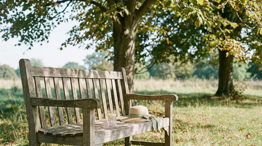 Sunlit park bench in late summer, illustrating that UK sunshine does not guarantee healthy vitamin D levels